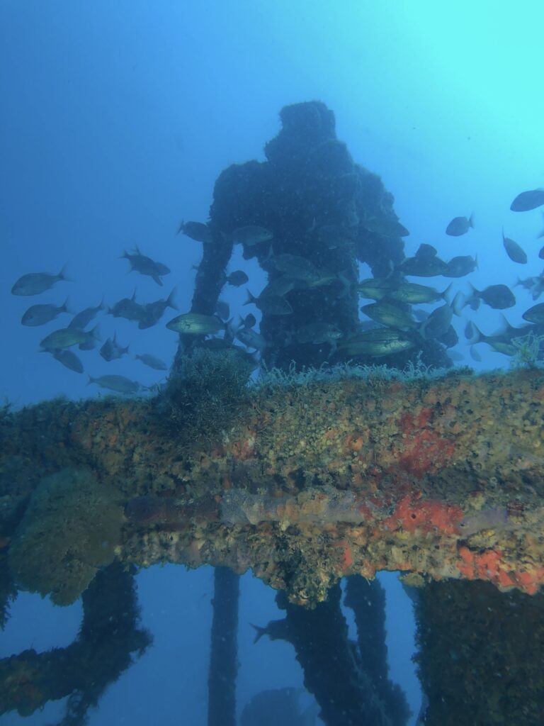 shipwreck charter